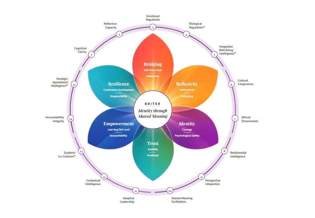 Complete BRITER Identity Wheel with six petals, fifteen competencies, and four explanatory areas